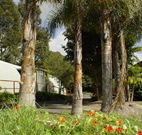 Cochabonddu - Stays Accommodation