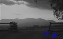 Denham Cottage - Stayed 3