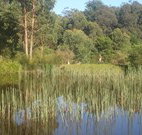 Fosterton Lodge Retreat - Stayed