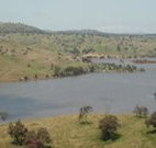 In The Heart Of Husky - Stayed