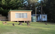 Lake Haven Castle Cottage - Stayed 1