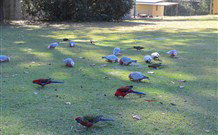 Lake Haven Castle Cottage - Stayed 2