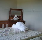 Love Me Tender - Stayed