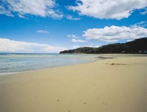Jervis Bay NSW Stayed