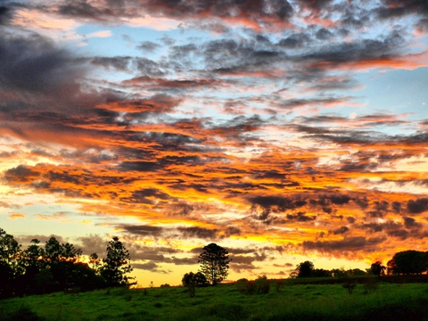 Yarraman Caravan Park & Cabins - Stayed 5