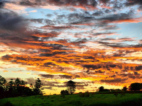 Yarraman Caravan Park & Cabins - Stayed 9