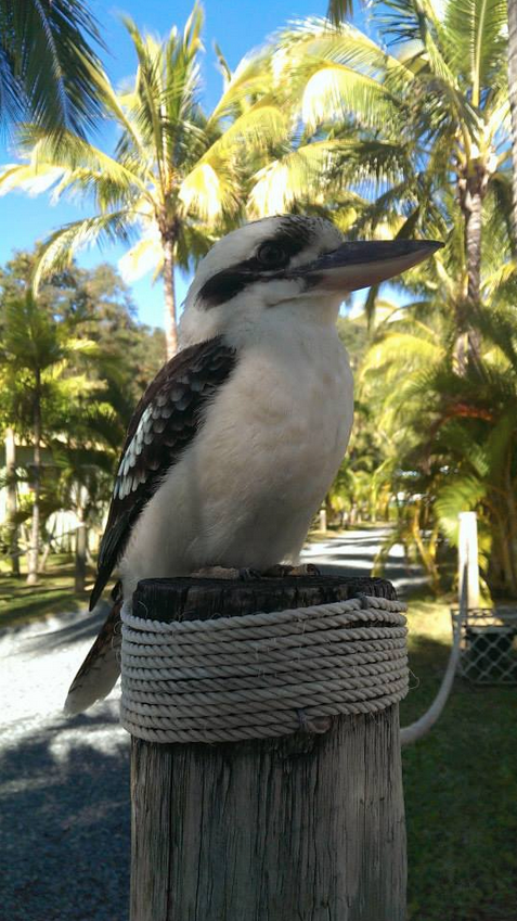 Bush Village Budget Cabins - Stayed 13