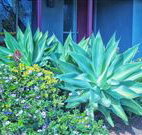 Retreat Homestead - Stayed