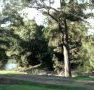 Rustic Caravan Park - Stays Accommodation