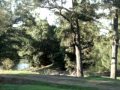 Rustic Caravan Park - Stays Accommodation 0