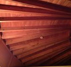 Sea Cottage - Stayed