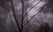 SeaChange Holiday Cottage And SeaStay Cottage - Stayed 4