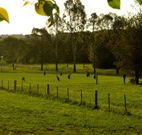 Stone Cottage Mittagong - Stayed