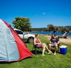 Sungrove Cottage - Stayed