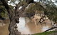 Valley View Cottage Hunter Valley - thumb 0