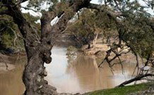 Valley View Cottage Hunter Valley - Stayed 0