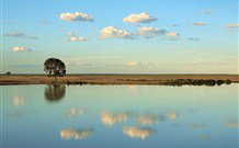 Valley View Cottage Hunter Valley - Stayed 4