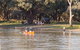 Valley View Cottage Hunter Valley - thumb 6