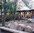 Williams River Holiday Park - Stays Accommodation