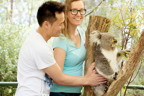 Mt Lofty YHA - Stayed 6