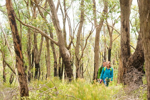 Mt Lofty YHA - Stayed 8