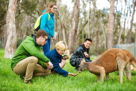 Mt Lofty YHA - Stayed 7