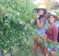 McLaren Vale Backpackers - Stayed