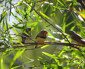 Adels Grove Camping Ground - Stayed 1