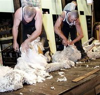 The Woolshed at Jondaryan Caravan and Camping - Stayed