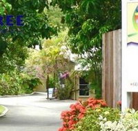 At The Mango Tree - Stayed