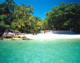 Bedarra Island QLD Stayed