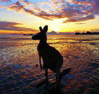 Cape Hillsborough Nature Tourist Park - Stayed
