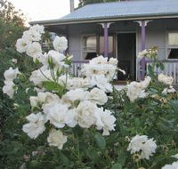 Thistledown Country Retreat - Stayed