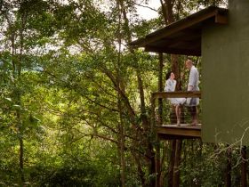 Hunchy Hideaway - Stayed 3