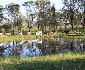 Destiny Boonah ECO Cottages And Donkey Farm - Stayed 1