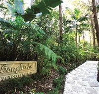 Songbirds Rainforest Retreat - Stayed