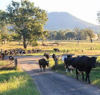Tommerups Dairy Farmstay - Stays Accommodation