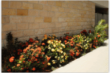 A Country View Motel - Stayed 6