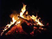 Corroboree Park Tavern - Stayed 18