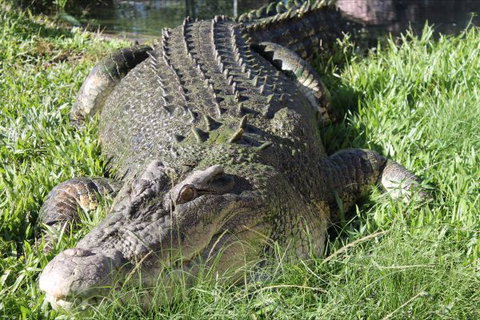 Corroboree Park Tavern - Stayed 7