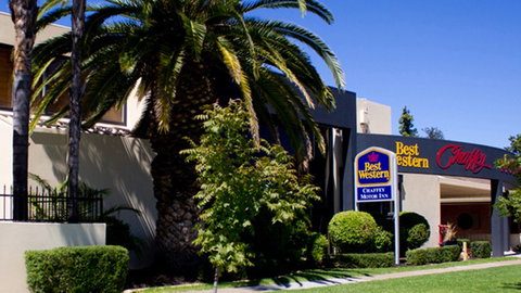 BEST WESTERN Chaffey International Motor Inn - Stays Accommodation 1