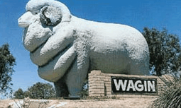 Wagin Motel - Stays Accommodation
