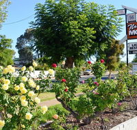 Narrogin Motel - Stayed