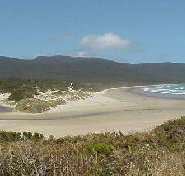 Cloudy Bay Cabin - Stayed