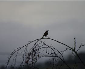 Viewenmore Villa Bed & Breakfast - Stayed 5