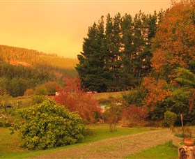 RED ROOSTER HOST FARM - Stayed 3