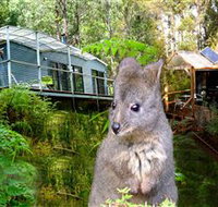 Huon Bush Retreats - Stayed