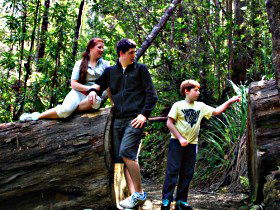 Tahune Airwalk Lodge - Stays Accommodation 0