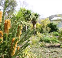 Yooringa Garden Cottage - Stayed