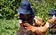 Taras Richmond Farmstay - thumb 1